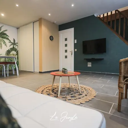 Le Jungle 5 Etoiles / Netflix Et Services Апарт-отель Saint-Jean-Bonnefonds