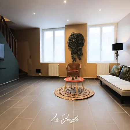 Le Jungle 5 Etoiles / Netflix Et Services Апарт-отель Saint-Jean-Bonnefonds