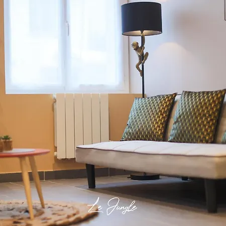 Le Jungle 5 Etoiles / Netflix Et Services Апарт-отель Saint-Jean-Bonnefonds
